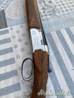 Beretta s55  cal 20