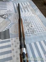 Beretta s55  cal 20