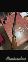 franchi luigi cal 12