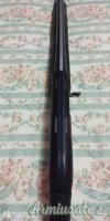Winchester Sx4 12