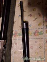 Benelli Raffaello 12