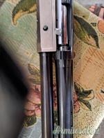 Benelli Raffaello 12