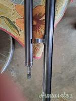Benelli Raffaello 12