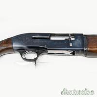 Beretta A301 12