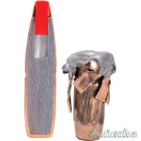 Hornady Palle 308
