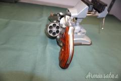 Smith & Wesson 629 .44 Remington Magnum