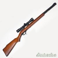 Marlin 60 .22 Long Rifle con ottica