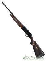 Beretta 301 12