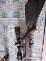 Diana Stormrider  4.5/.177