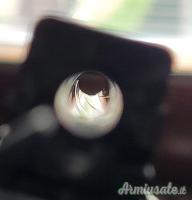 Smith & Wesson M&P22 .22 LR Long Rifle
