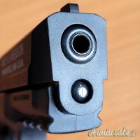 Smith & Wesson M&P22 .22 LR Long Rifle