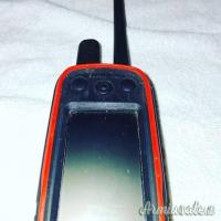 Sistema di tracciamento Garmin Alpha 100, completo di due collari TT15 Mini e T5 Mini,