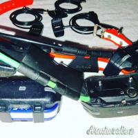 Sistema di tracciamento Garmin Alpha 100, completo di due collari TT15 Mini e T5 Mini,
