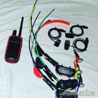 Sistema di tracciamento Garmin Alpha 100, completo di due collari TT15 Mini e T5 Mini,