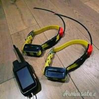 Acquista il Garmin Alpha 200 con 2 collari di localizzazione TT15