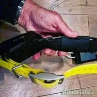 Acquista il Garmin Alpha 200 con 2 collari di localizzazione TT15