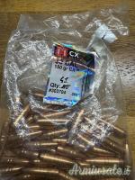 Hornady cx cal 30 150 grani