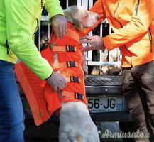 Giubbotto antizzanna Canihunt