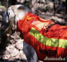 Giubbotto antizzanna Canihunt
