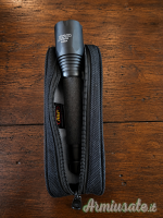 TORCIA TRIAD AA – ASP