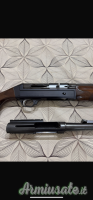 Beretta Gold  12