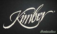 Kimber Targhet Stainless II .45 ACP