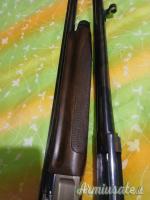 Benelli 201 SL 80 Special 20