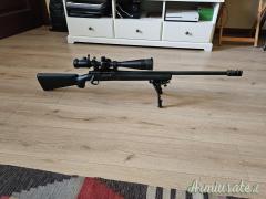 Remington 700 police .308 Winchester