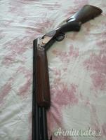 Rizzini premier 20