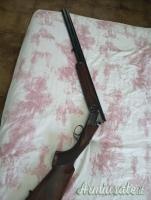 Rizzini premier 20