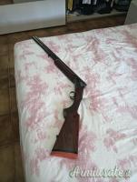 Rizzini premier 20