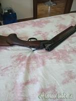 Rizzini premier 20