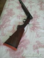 Rizzini premier 20