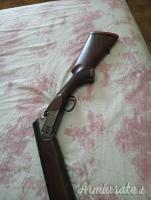 Rizzini premier 20