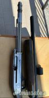 Beretta Raptor 12