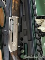Beretta Raptor 12
