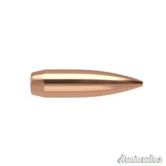 NOSLER Palle Competition 308