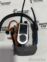 GPS TEK 1.0 CON COLLARE TEK 2.0