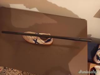 Canna beretta 67 4 stelle