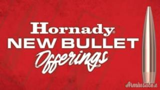 HORNADY Palle AEROMatch 264