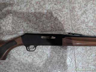 Carabina franchi Cal22
