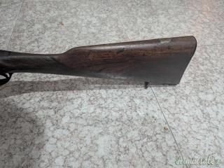 Bernardelli Sant Umberto 1 12