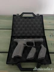 cover Beretta APX
