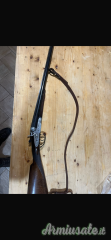 Gamba F.lli Armi  12