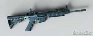 ...Altro | Non elencato AR15 .223 Remington