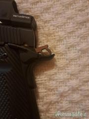 Kimber Stainless  .45 ACP