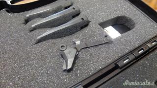 Arex  Delta L Gen 2  9x21mm IMI