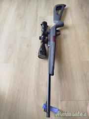 Winchester Wildcat  .22 Long Rifle