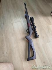Winchester Wildcat  .22 Long Rifle
