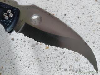 Spyderco Matriarch 2